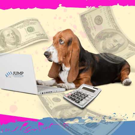 Pet Sitting Business Pricing Structure & Strategy