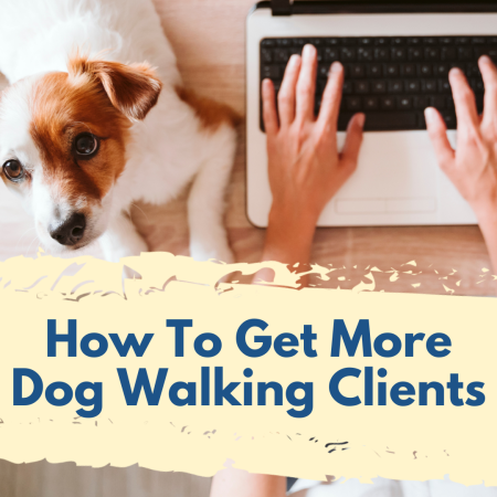 Marketing Workshop - How to Get More Dog Walking Clients