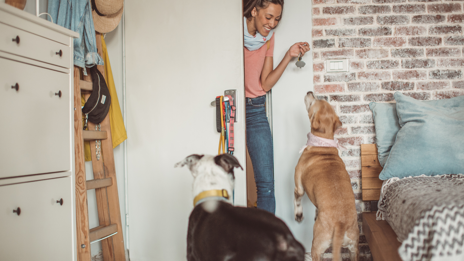 hiring pet sitters - entering home