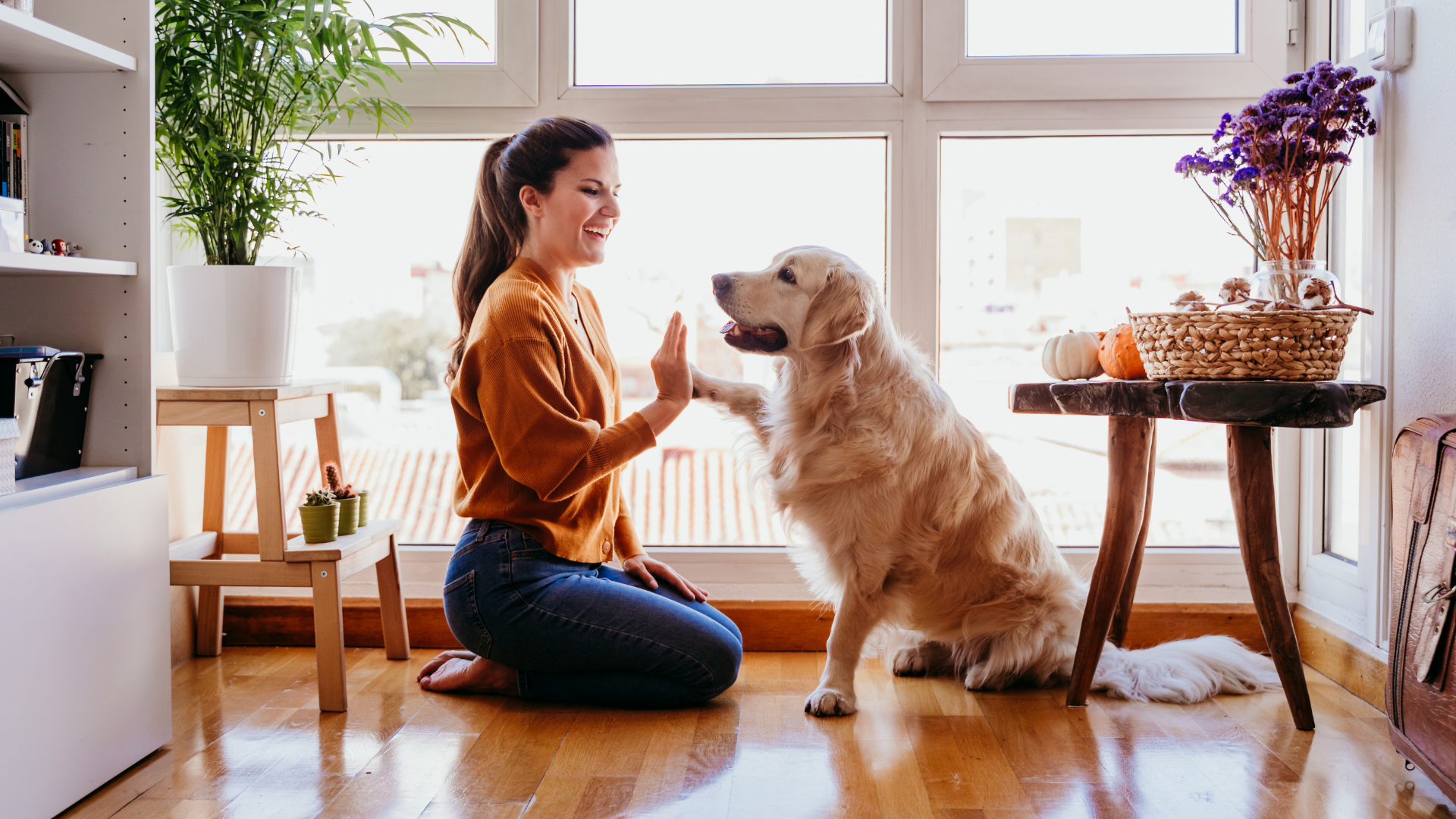 trustworthy hiring pet sitters with woman and dog